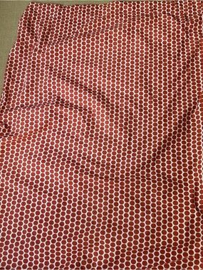 Land Of Nod Cotton Curtain Panels (2)
